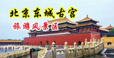 欧美大黑屌操美女视屏免费观看中国北京-东城古宫旅游风景区